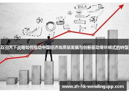 双羽天下战略如何推动中国经济高质量发展与创新驱动增长模式的转型