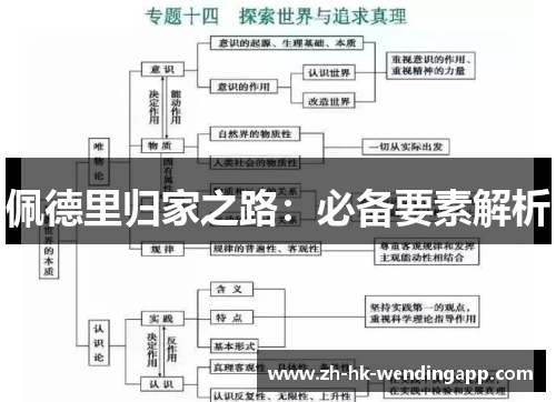 佩德里归家之路：必备要素解析