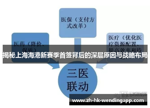 揭秘上海海港新赛季首签背后的深层原因与战略布局