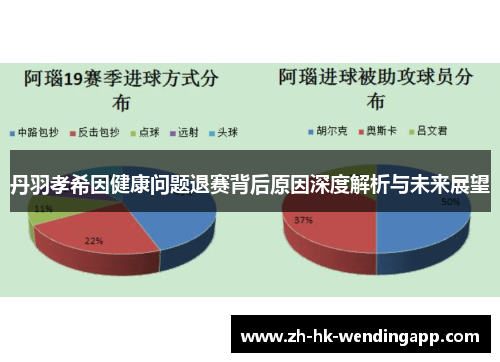 丹羽孝希因健康问题退赛背后原因深度解析与未来展望