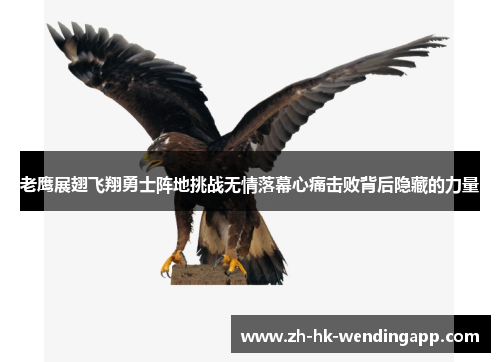 老鹰展翅飞翔勇士阵地挑战无情落幕心痛击败背后隐藏的力量