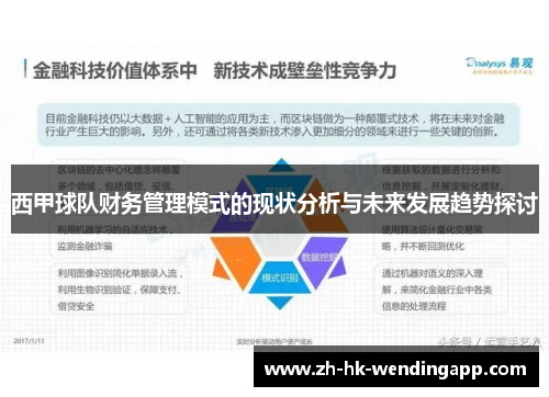 西甲球队财务管理模式的现状分析与未来发展趋势探讨 西甲球队财务管理模式的现状分析与未来发展趋势探讨