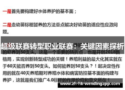 超级联赛转型职业联赛：关键因素探析