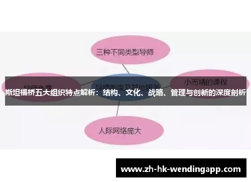 斯坦福桥五大组织特点解析：结构、文化、战略、管理与创新的深度剖析
