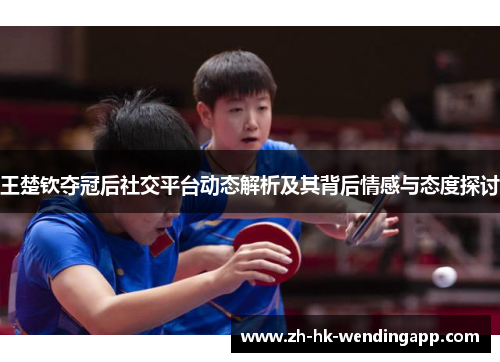 王楚钦夺冠后社交平台动态解析及其背后情感与态度探讨