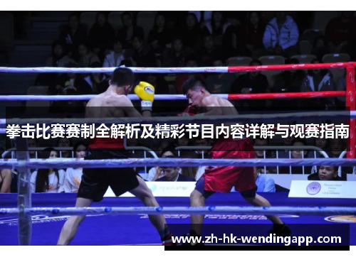 拳击比赛赛制全解析及精彩节目内容详解与观赛指南